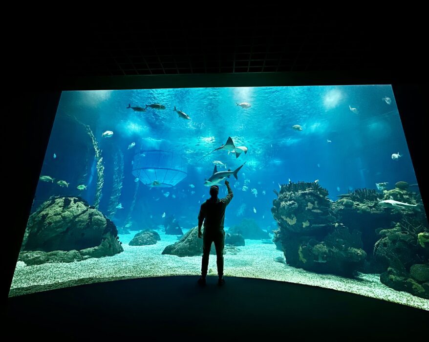 Oceanarium w Lizbonie