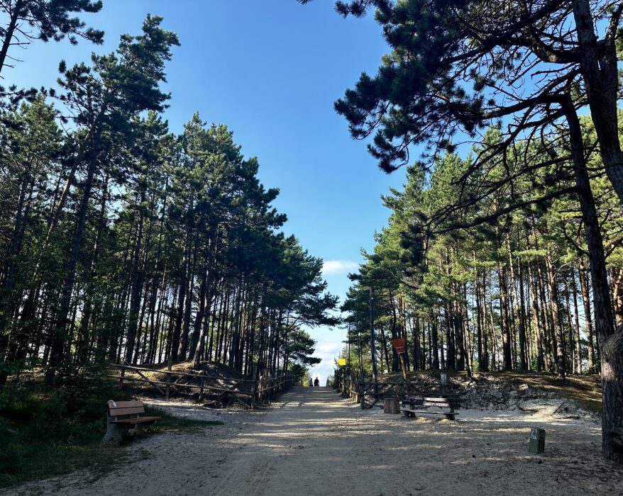 Dębki-plaza