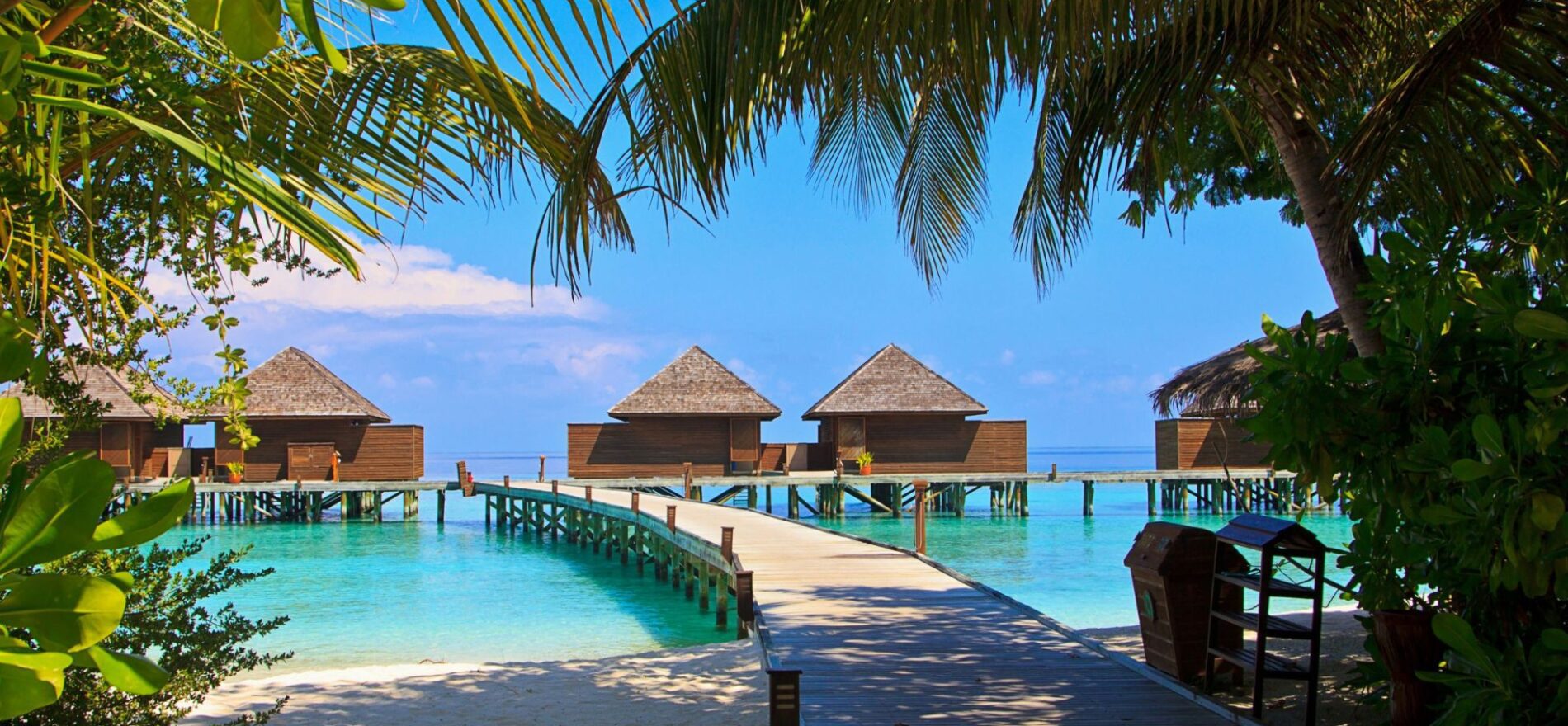 Wizz Air zawiesza tanie loty na Malediwy z Polski