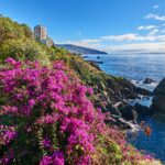 Madera Festiwale 2026