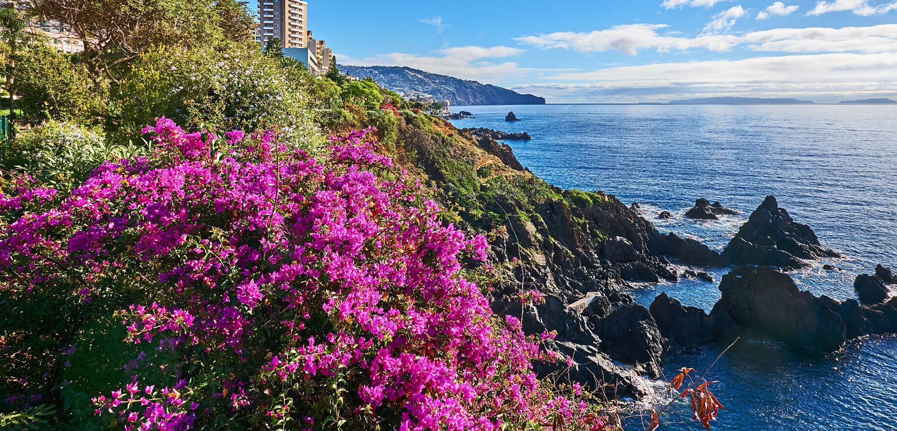 Madera Festiwale 2026