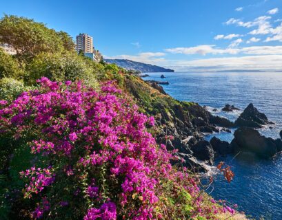 Madera Festiwale 2026